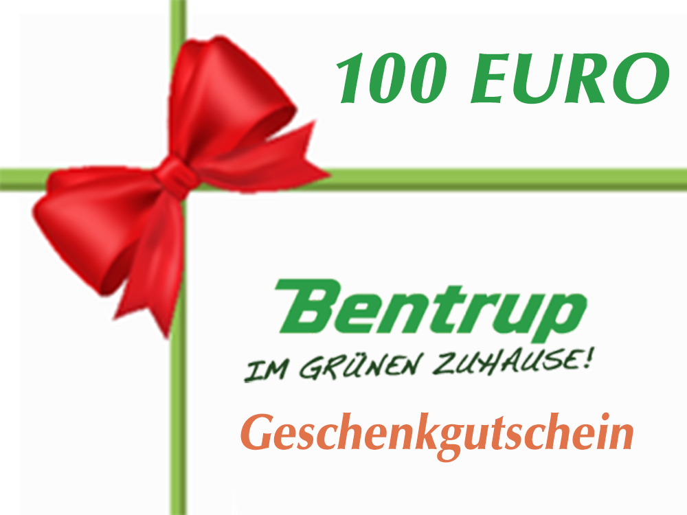Gutschein 100 €
